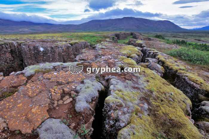 Fissures d'extension (Thingwellir, Islande) - gryphea.com
